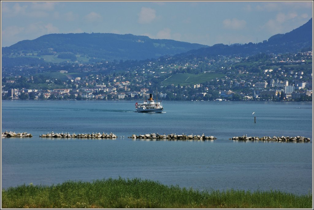 Auf der Fahrt von Bouveret nach Villeneuve fhrt das Dampfschiff  La Suisse  sehr nah am Naturschutzgebiet Grangettes vorbei.
(01.07.2011)

