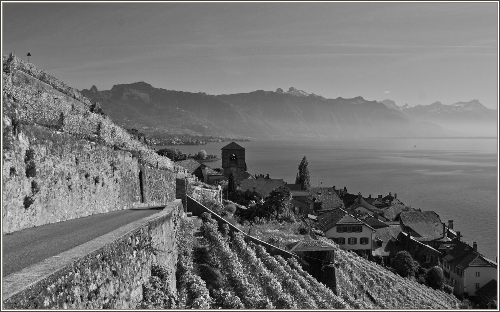 S/W Aufnahme vom Lavaux aus, mit Blick auf St-Saphorin, den Rochers-de-Naye und die Riviera des Genfersee's.
(18.10.2011)