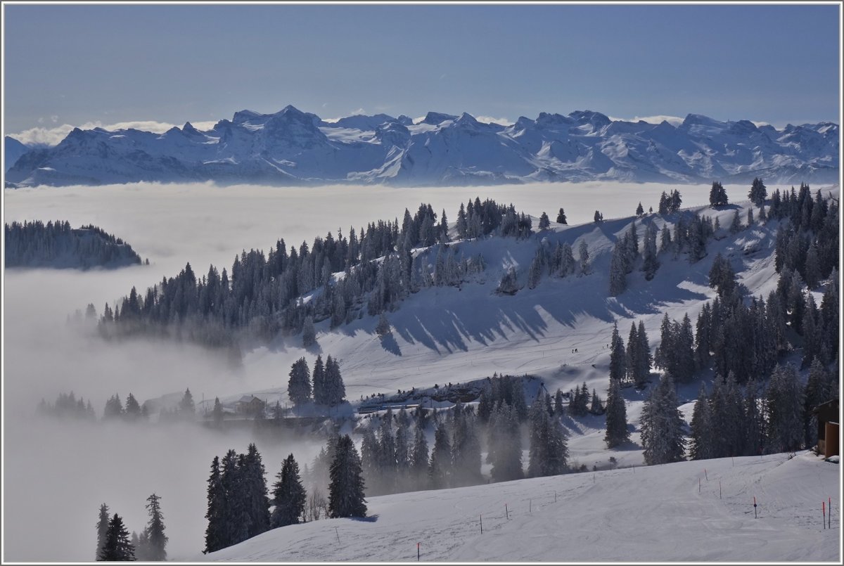 Die Sicht ins Tal ist durch den Nebel versperrt, dafür sorgt gerade diese Stimmung für ein wunderschönes Winterfoto oberhalb des Nebels.
(24.02.2018)
