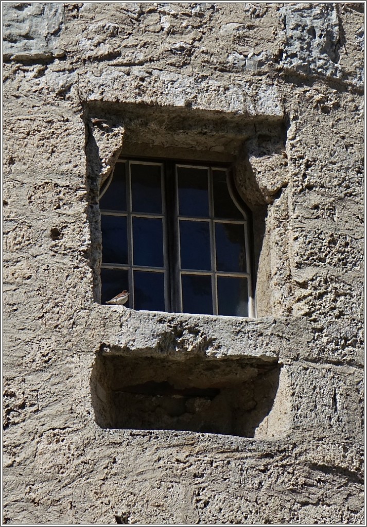 Fensterplatz für einen Spatz
(27.06.2014)
