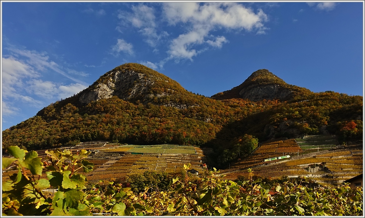 Herbststimmung in den Weinbergen von Aigle.
(03.11.2014)