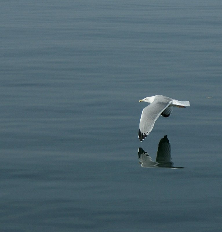 Flug ber den See
(Oktober 2008)