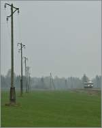 ...und in der herrlichen flachen waldreichen Landschaft Estlands. 
(bei Rapla, den 5. Mai 2012)
