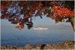 schifffahrts-impressionen/633586/herbstfahrt-im-oktober-auf-dem-genfersee Herbstfahrt im Oktober auf dem Genfersee mit dem Dampfschiff 'Italie'
(18.10.2018)