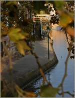 Elsass/172340/blick-durch-die-blaetter-eines-baumesauf Blick durch die Bltter eines Baumes,auf die Uferpromenade der Ill.
(28.10.2011)