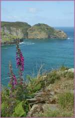 Ruhe, Entspannung und Farben vom feinsten geniest man auf den Kstenwanderungen in Cornwall.
