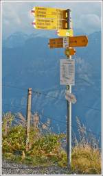Berner Oberland/300670/-auch-am-gipfel-des-brienzer . Auch am Gipfel des Brienzer Rothorns gibt es Wanderwege fr ungebte Bergwanderer. 27.09.2013 (Jeanny)