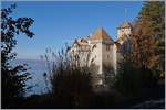 Immer wieder ein Bild wert: Das Château de Chillon.
20.11.2017