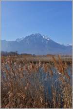 Genferseeregion/483451/fruehjahrsstimmung-am-grand-canal-im-maerz-2015 Frühjahrsstimmung am Grand-Canal im März 2015