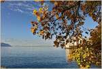 Herbst am Genfersee
(16.11.2022)
