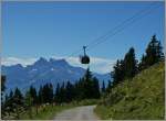 Whrend die Mountainbikefahrer die Gondelbahn nutzen, geniessen wir den Wanderweg auf die Berneuse(2045 m..M).
(11.08.2011)