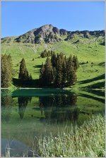 Waadtlander Alpen/505008/fruehsommerliche-morgenstimmumg-am-lac-retaud22062016 Frühsommerliche Morgenstimmumg am Lac Retaud.
(22.06.2016)