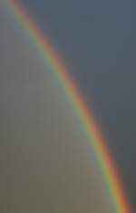 Lange nicht mehr gesehen: die Farben des Regenbogen.
(15.08.2010)
