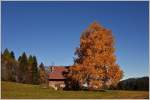 Herbst/462045/drei-birken-im-leuchtenden-herbstgewand27102015 Drei Birken im leuchtenden Herbstgewand.
(27.10.2015)
