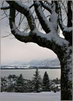 Winterstimmung am Genfersee.
(17.12.2010)