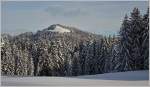 Winter/476098/winterwald-auf-den-les-pleiades03022015 Winterwald auf den Les Pleiades.
(03.02.2015)