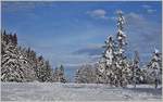 Winter/722556/sonne-und-schnee---so-schoen Sonne und Schnee - so schön kann Winter sein
(14.12.2020)