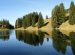 Tannen spiegeln sich im Lac Retaud.
(1690 m..M./Oktober 2008)