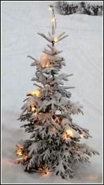 Frohe Weihnachten und einen guten Rutsch ins neue Jahr an alle User und Besucher dieses schnen Seite. Da unser Weihnachtsbaum in diesem Jahr nicht sehr fotogen ist, hat ein Bild aus dem letzeten Jahr herhalten mssen. Hans und Jeanny