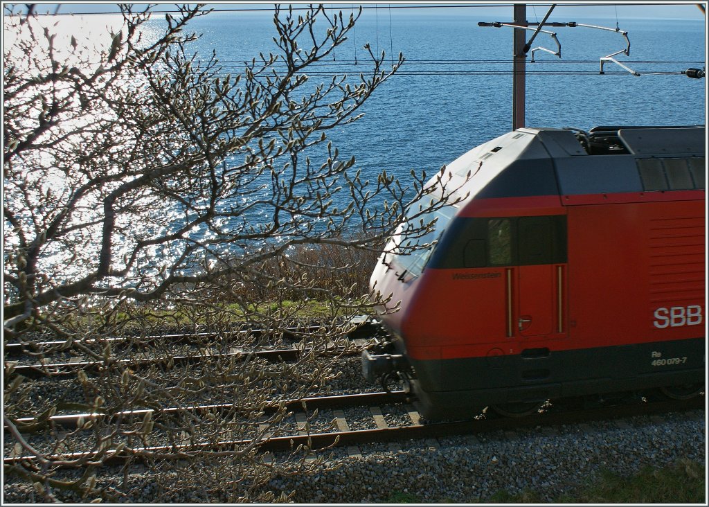 Anfahrt ins Frhjahr.
(03.01.2013)