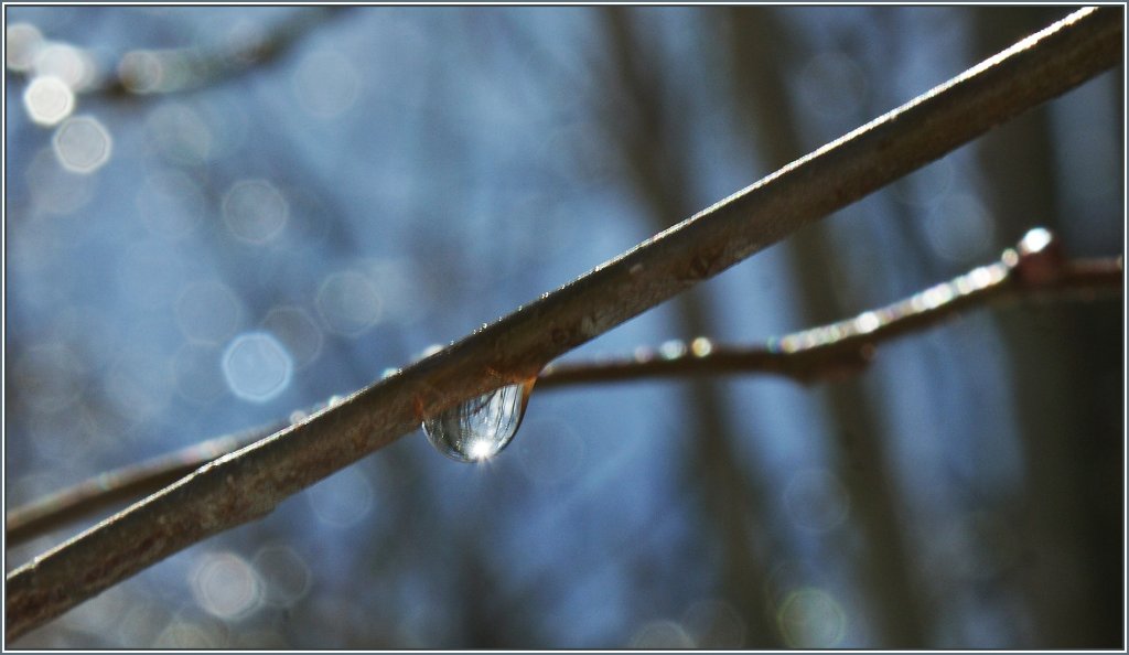 Ein Wassertropfen im Sonnenlicht.
(28.01.2013)
