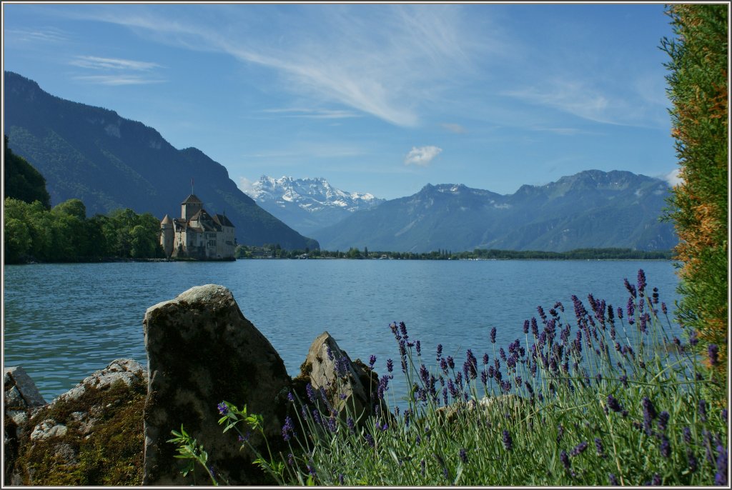 Klassisch: Das Chteau de Chillon und die wieder verschneiten Dents-de-Midi am 14.06.2012