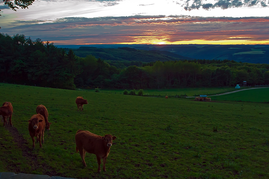 Zum Abschlu eines wunderschnen Tages im Groherzogtum Luxemburg (dem 16.06.2013) wird noch einmal angehalten... 
Bei Heiderscheid (Heischent)  Sonnenuntergang und Linsenputzer ...