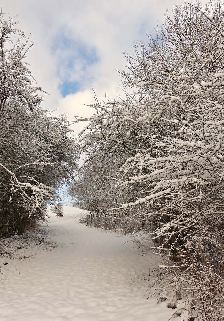 . Winterlicher Wanderweg in der Nhe von Maulusmhle. 02.02.2015 (Jeanny)