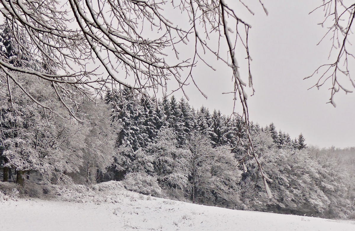 . Winterzauber in Drauffelt. 27.12.2014 (Jeanny)