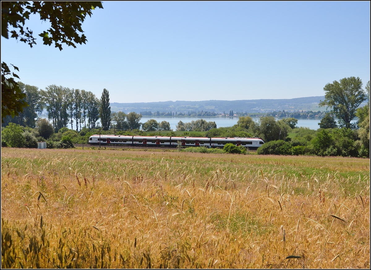 10 Jahre Seehas mit der SBB.

Ein Sommerbild mit Seehas. Allensbach, Juni 2015.