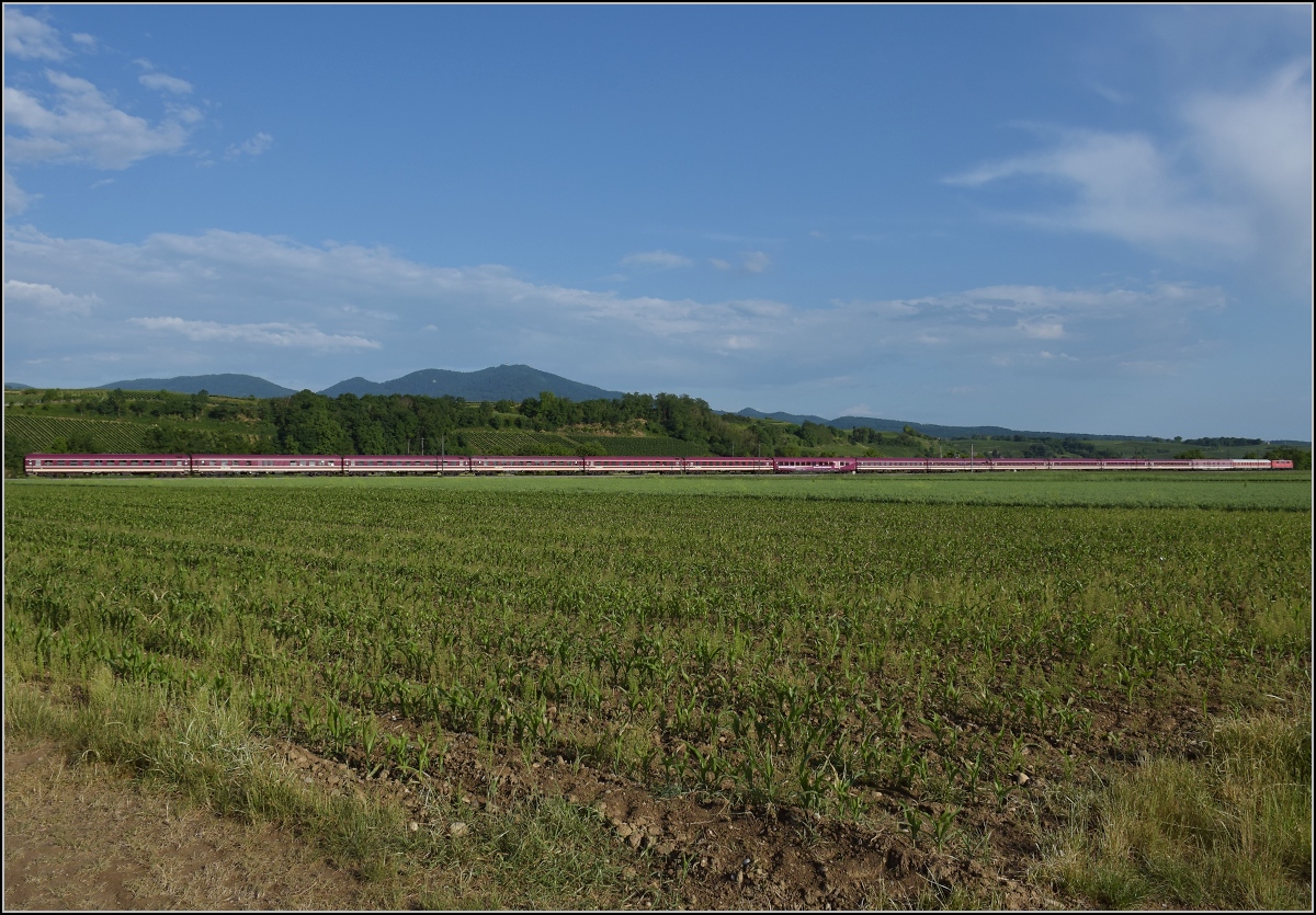 111 191 mit einem 15-Wagen-Pilgerzug bei Hügelheim. Juni 2022.