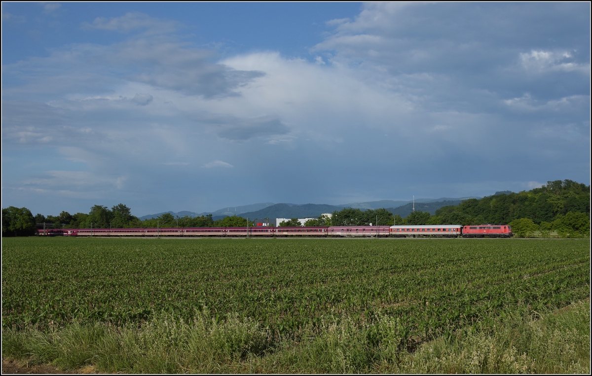 111 191 mit einem langen Pilgerzug bei Buggingen. Juni 2022.