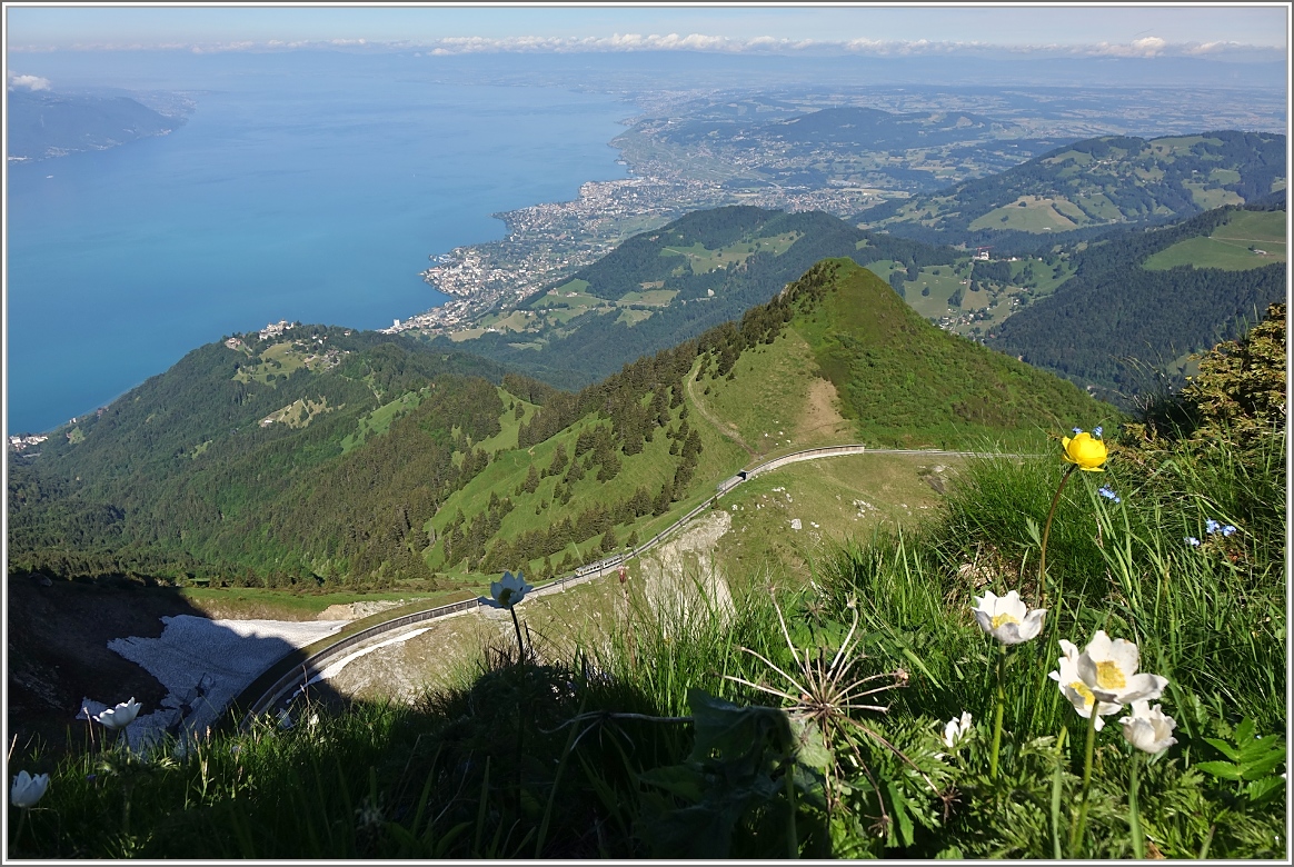Ausblick vom Rocher de Naye über den Genfersee.
(28.06.2016)
