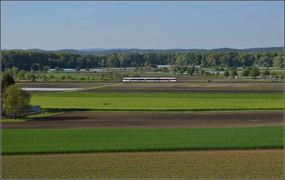 Bahn im Tägermoos. 

S14 Weinfelden-Konstanz mit GTW 2/8 nahe der Abzweigung der Strecken nach Schaffhausen und nach Weinfelden. Die urspüngliche MThB-Strecke verlief allerdings hier schon am Berg direkt in der Nähe des Fotostandorts, seit 2001 verläuft der Verkehr über die neugebaute Doppelspurstrecke bis zum Bahnhof Kreuzlingen Bernrain. Mai 2014.