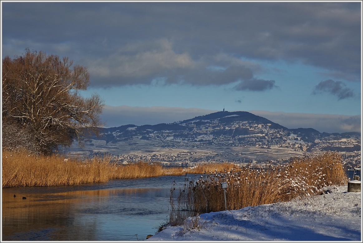 Blick vom Grande-Canal auf den tiefverschneiten Mont-Pelerin und Vevey.
(11.01.2017)