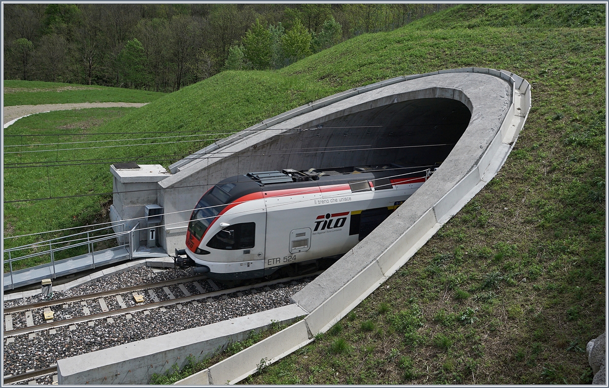 Der TILO RABe 524 013, unterwegs als S40 von Varese nach Como, verschwindet im 970 Meter langen Bevera Tunnel.

27. April 2019