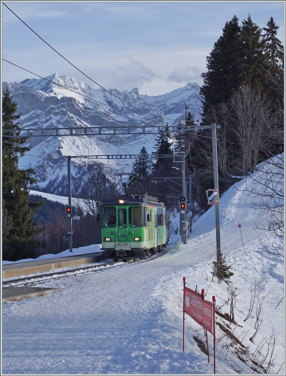 Der TPC BVB BDEh 4/4 81 ist auf der Fahrt von Villars s/O nach dem Col-de-Bretaye und erreicht den Bahnhof von Bouquetins. 

19. Januar 2026