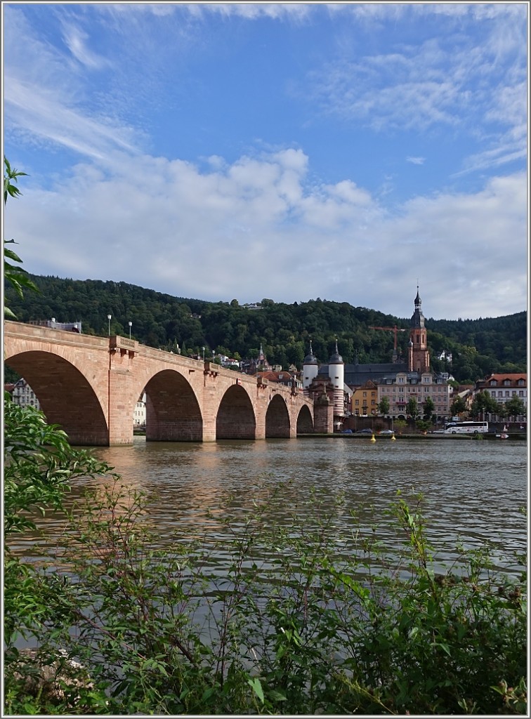 Die alte Brücke von Heidelberg im Licht der Abendsonne.
(18.08.2014)