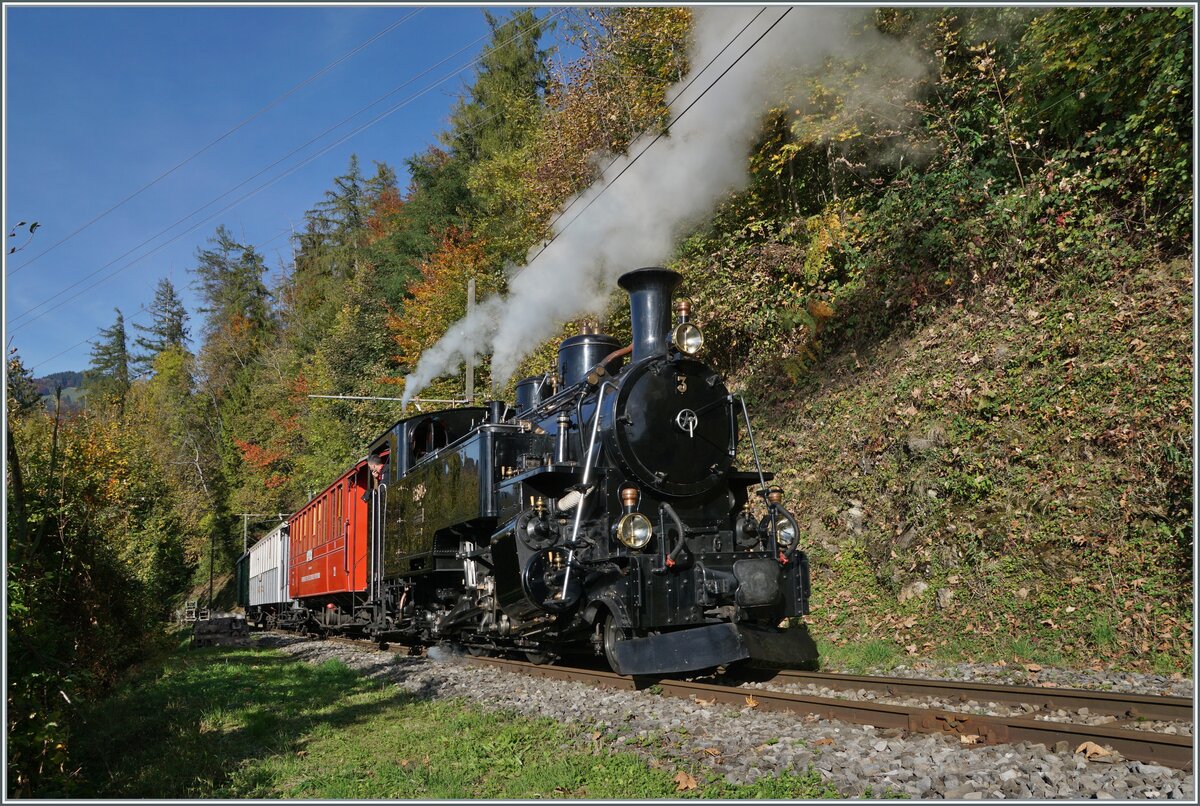 Die BFD HG 3/4 N° 3 der Blonay-Chamby Bahn ist kurz nach Chamby auf dem Weg nach Chaulin und fährt durch einen Waldabschnitt, der sich langsam aber sicher herbstlich verfärbt. 20. Oktober 2024