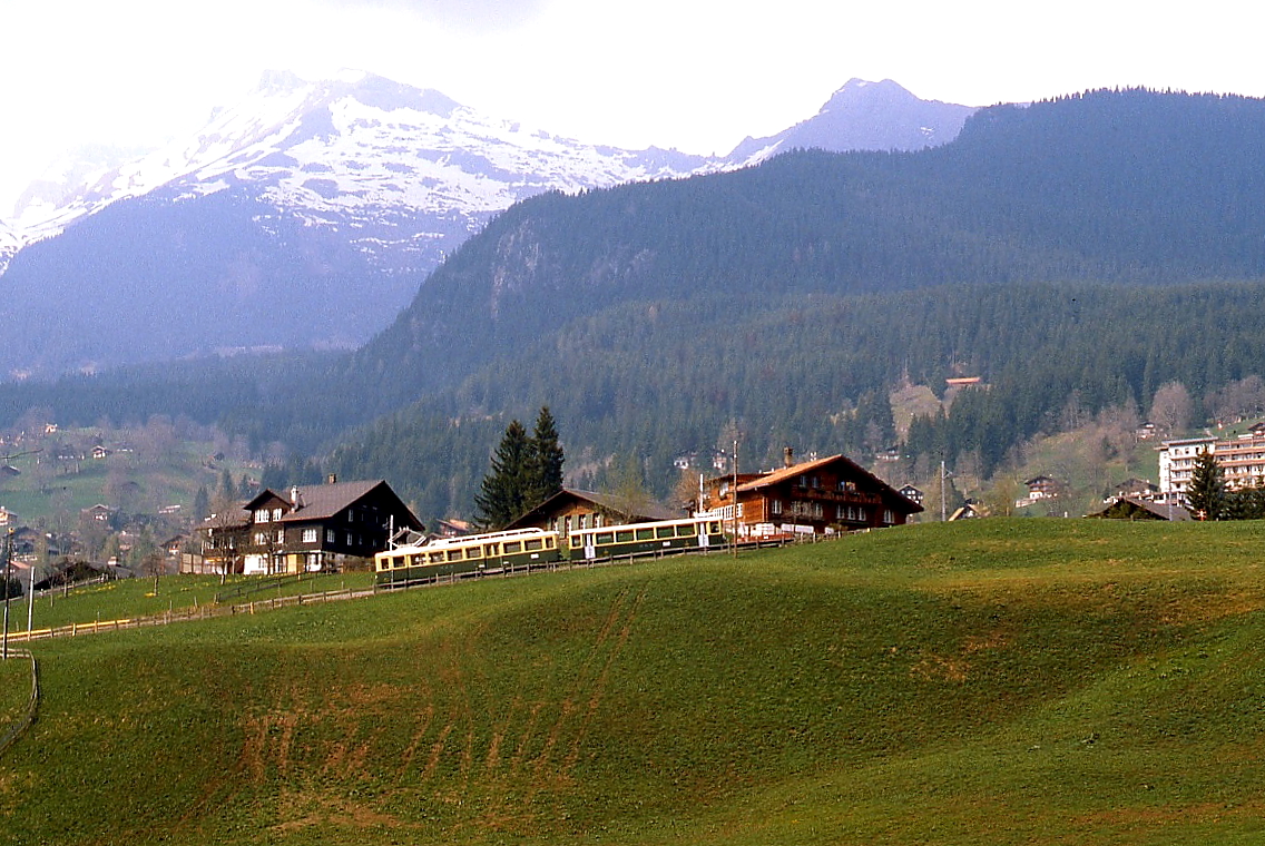 Im Mai 1981 ist ein BDeh 4/4 der Wengernalpbahn bei Wengen unterwegs
