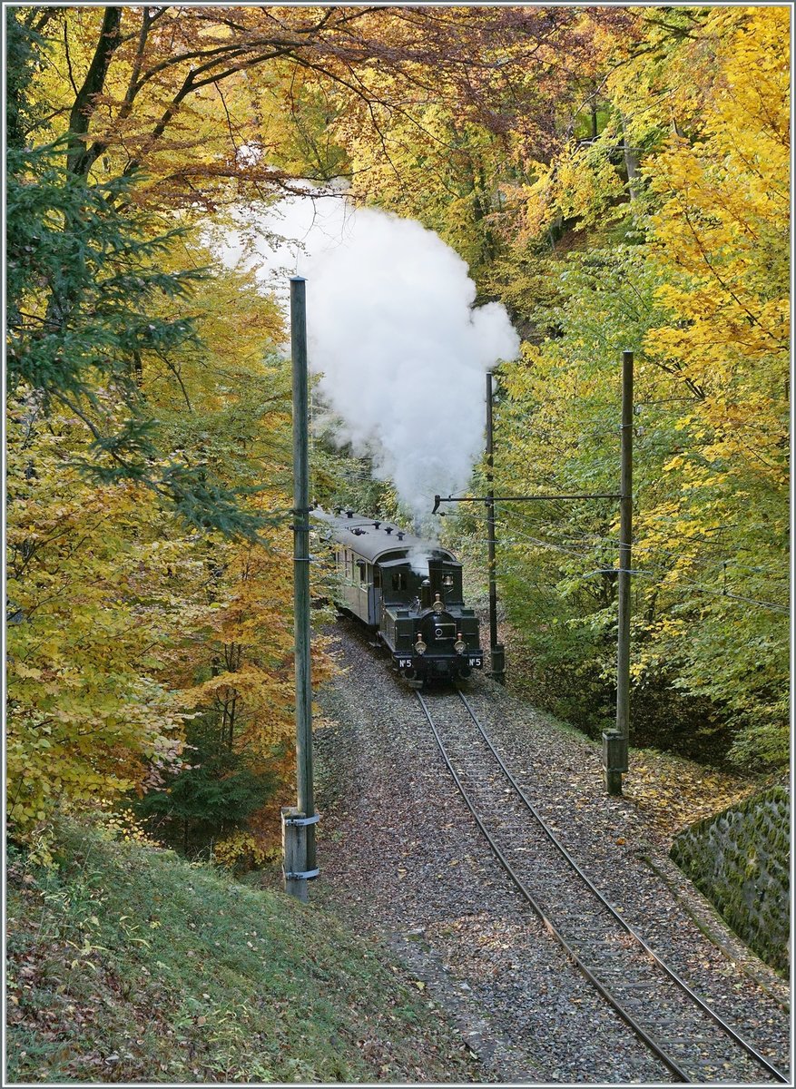  LA DER 2020 du Blonay-Chamby  / Saison Abschluss der Blonay-Chamby Bahn: Mit einem verstärkten Fahrplan und viel Dampf wird vor dem  Winterschlaf  (bzw. Arbeit im Dépôt Chaulin) nochmals viel Betrieb gemacht. Die aus dem Jahre 1890, also nun 130 Jahre alte G 3/3 N° 5 der LEB dampft mit einem Personenzug die 50 Promille Rampe zum Baye de Clarens Viadukt hoch und ist mitten im Wald oberhalb von Blonay schon fast beim Viadukt angekommen. 

24. Okt. 2020