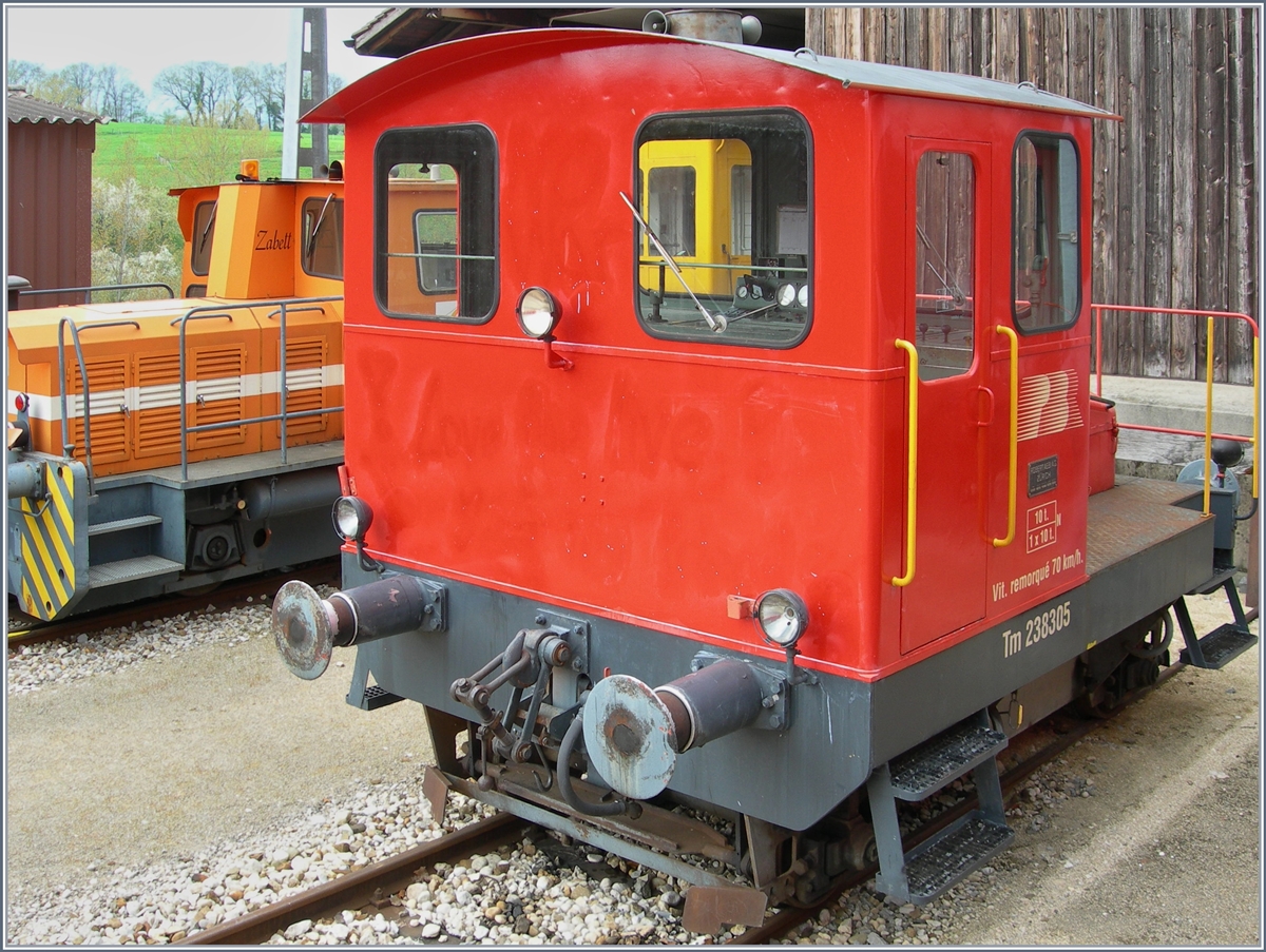 Obwohl die Spitzmaus eher klein ist, hat sie doch kaum aufs Bild gepasst: der PBr 238 305 in Orbe. 
26. April 2006