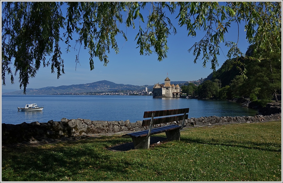 Sommer am Genfersee
(27.06.2014)