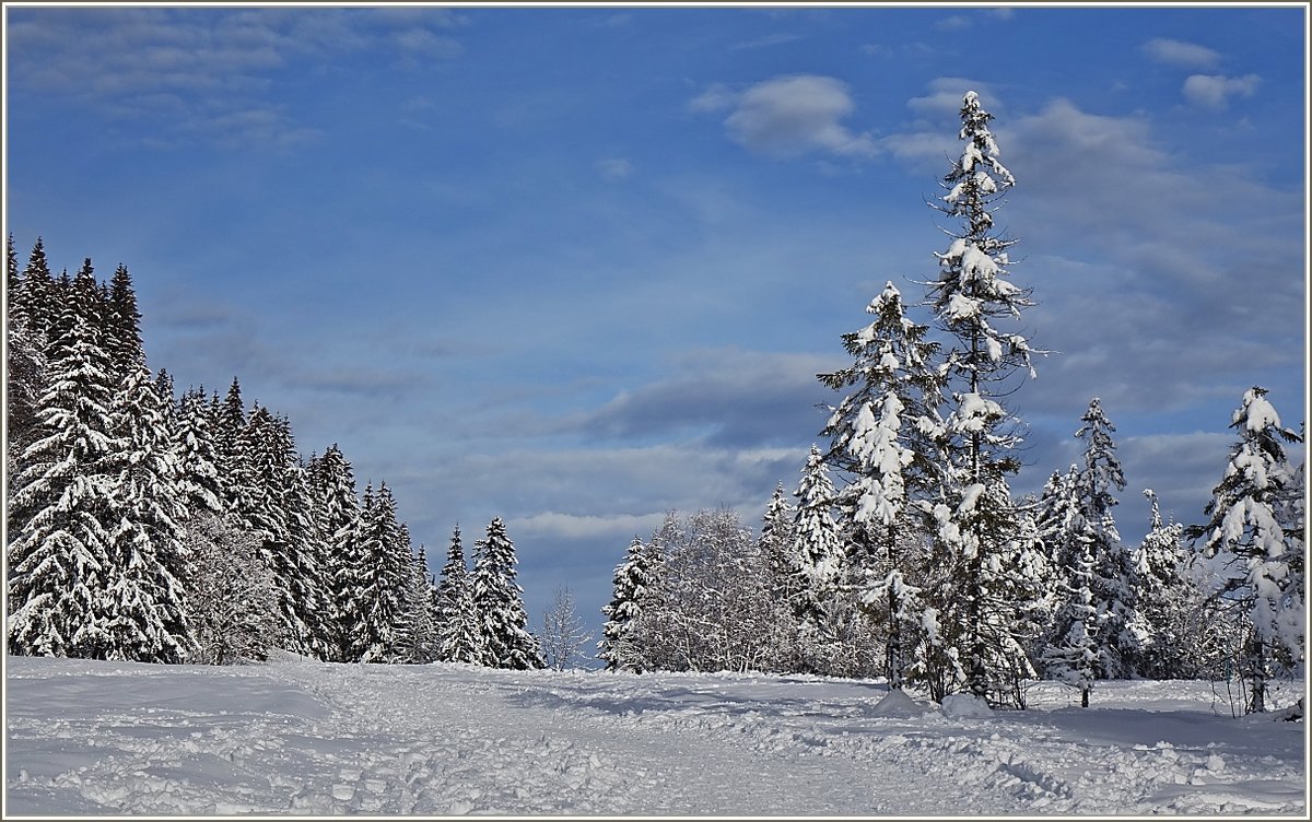 Sonne und Schnee - so schön kann Winter sein
(14.12.2020)