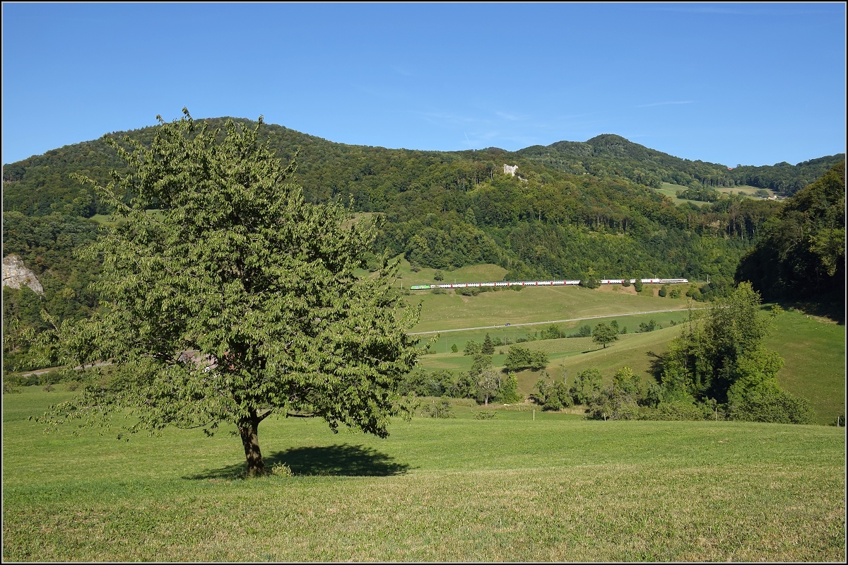 Umleiterverkehr auf dem Läufelfingerli. Ein Werbe Re 460 in der Juralandschaft mit einem etwas seltsamen Bahn 2000-Zug, der einen Verstärkersteuerwagen erhielt. Dahinter die Homburg und rechts der Wisenberg. Wem der Name bekannt vorkommt, ja, namensgebend für den irgendwann mal projektierten Wisenbergtunnel nach Olten. Katzbach, August 2018.