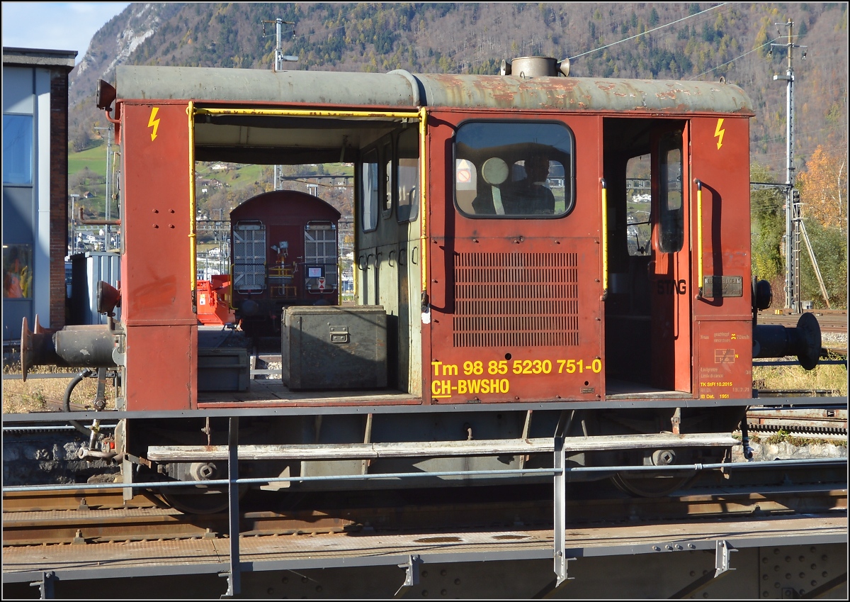 Vertreten wird die Spitzmaus von Tm<sup>II</sup> mit der Nummer Tm 98 85 5 230 751-0 CH-BWSHO. Sargans, November 2015.