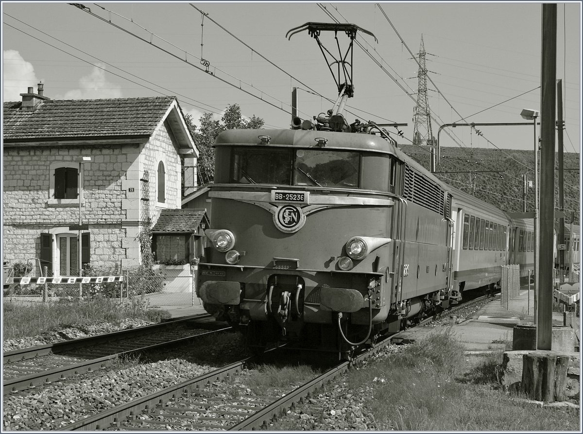 Wie fr�her: die SNCF 25 236 in Uriginalzustand f�hrt mit einem TER nach Lyon in Russin durch.
27. Aug. 2009
