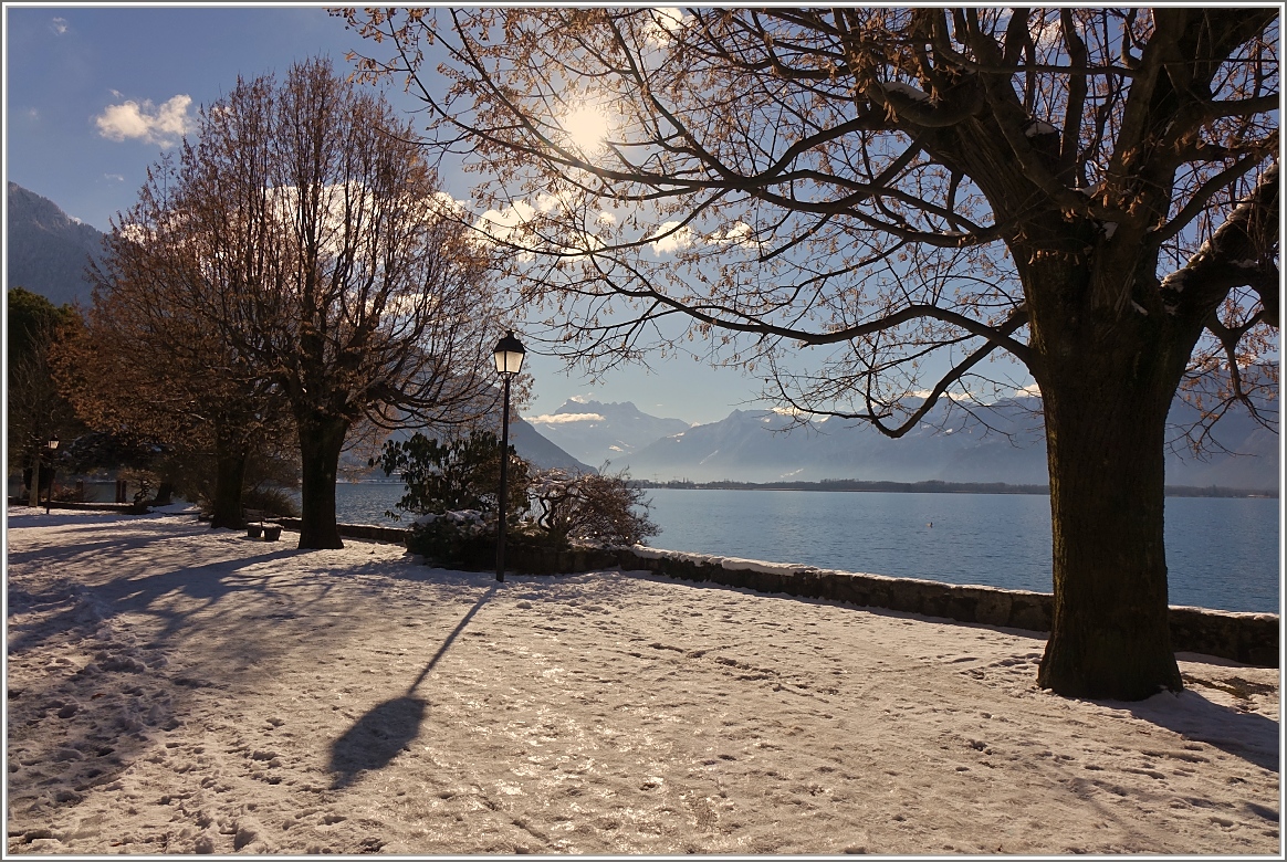 Winter am Genfersee
(16.01.2017)