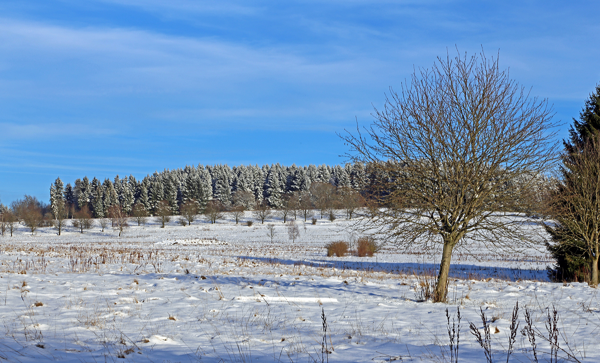 
Winterlandschaft bei Nisterberg (Westerwald) am 05.01.2015.
In den tieferen Lagen ist der Schnee verschwunden, aber hier auf ca. 527 m.ü.M. sieht es doch anders aus.