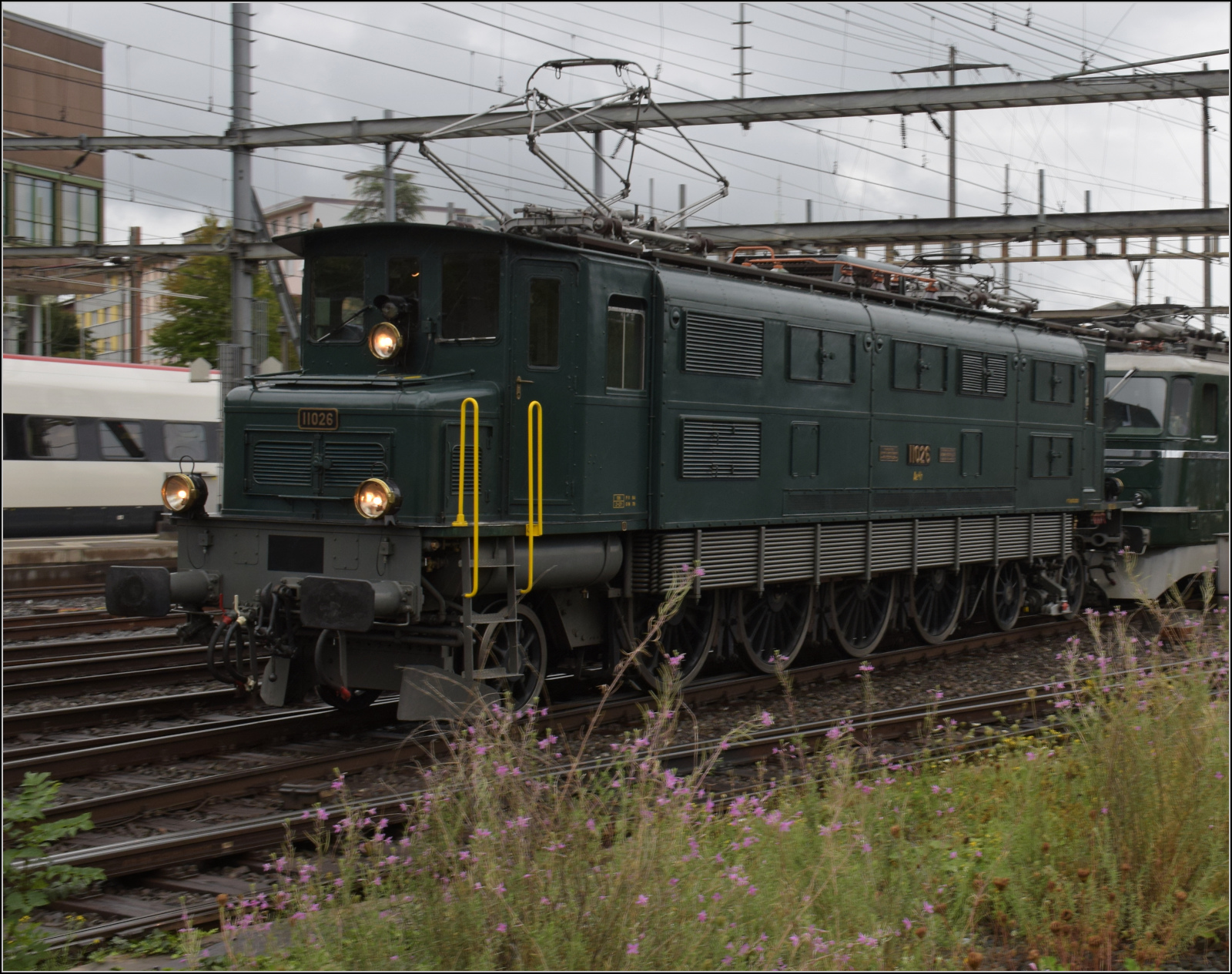 Depotfest Olten 2023. 

Ae 4/7 11026. August 2023.